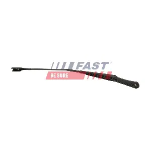 FT10173 FAST