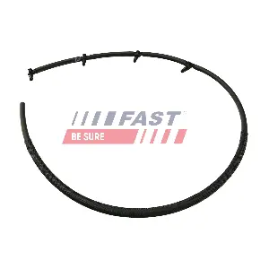 FT39619 FAST