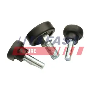 FT95522 FAST