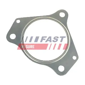 FT84597 FAST