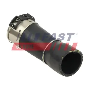 FT10481 FAST