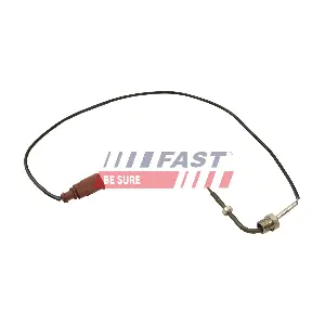 FT80273 FAST