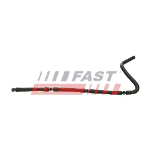 FT00233 FAST