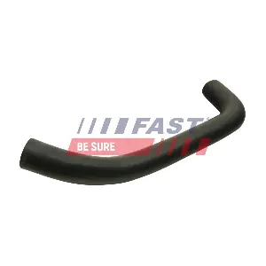 FT61819 FAST