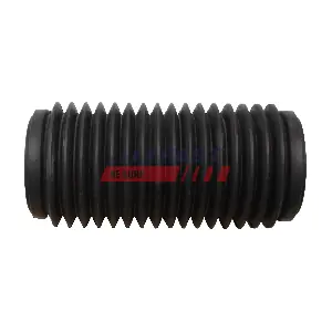 FT12087 FAST