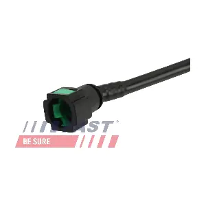 FT00896 FAST