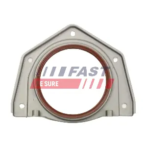 FT49711 FAST