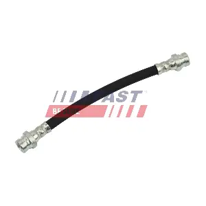 FT10119 FAST