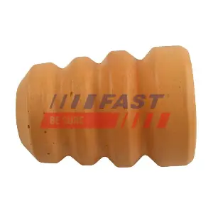 FT18113 FAST