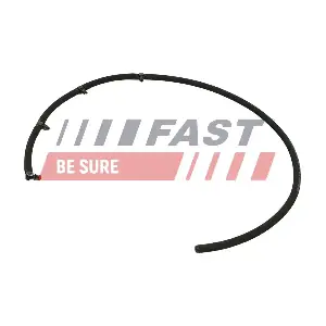 FT00254 FAST