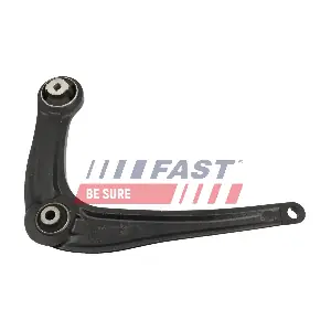 FT15769 FAST