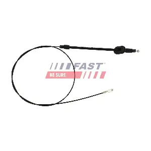 FT69039 FAST