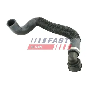 FT61961 FAST