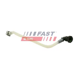 FT39577 FAST