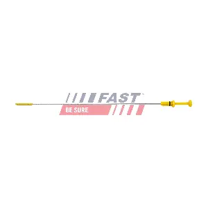 FT80304 FAST