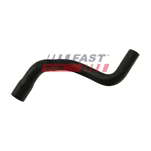 FT61077 FAST