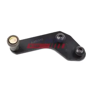 FT95563 FAST