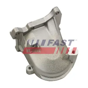 FT60430 FAST