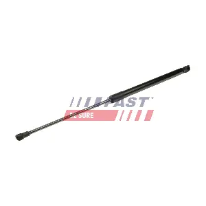 FT00206 FAST