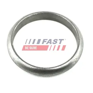 FT84574 FAST