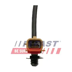 FT80225 FAST