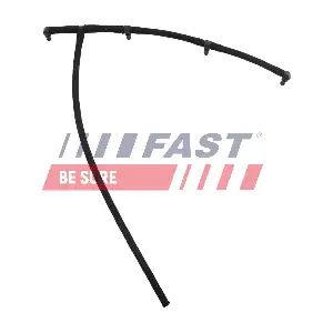 FT00689 FAST