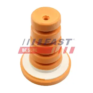 FT12611 FAST