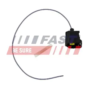 FT76116 FAST