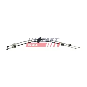 FT73099 FAST