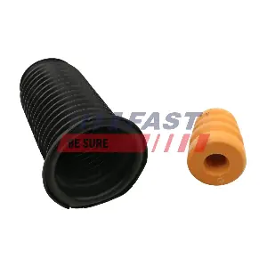 FT12517 FAST