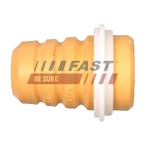 FT12193 FAST
