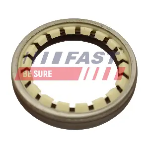 FT49806 FAST