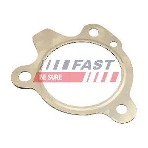 FT84509 FAST