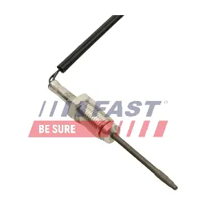 FT00389 FAST