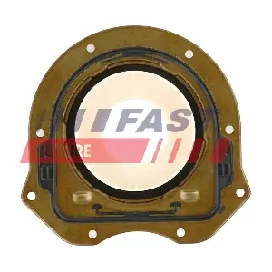 FT49749 FAST