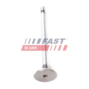 FT50135 FAST