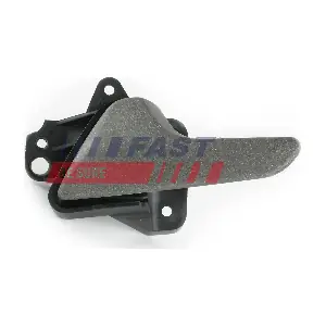 FT94586 FAST