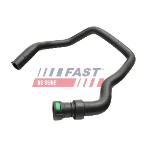 FT61479 FAST