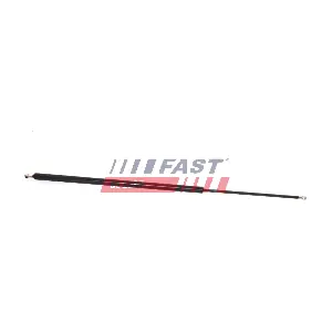 FT94837 FAST
