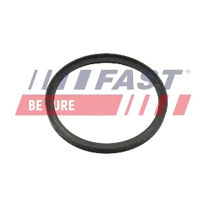 FT49857 FAST