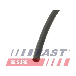FT39666 FAST