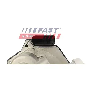 FT10069 FAST
