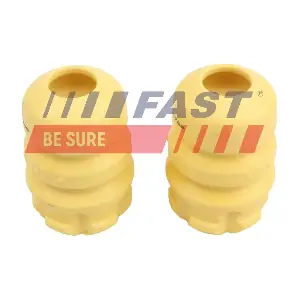FT00788 FAST