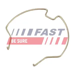 FT96409 FAST