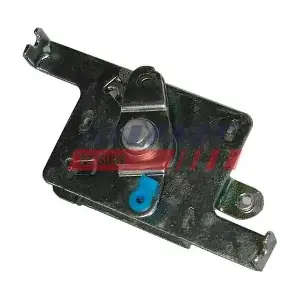 FT95394 FAST