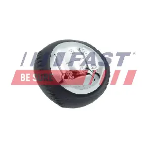 FAST FT00083