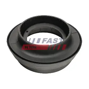 FT12408 FAST