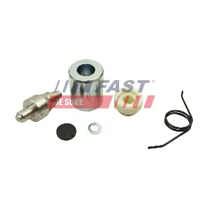 FT95821 FAST