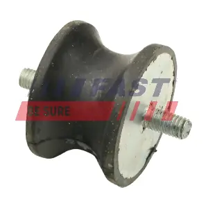 FT52028 FAST
