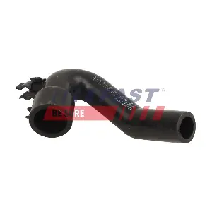 FT01158 FAST